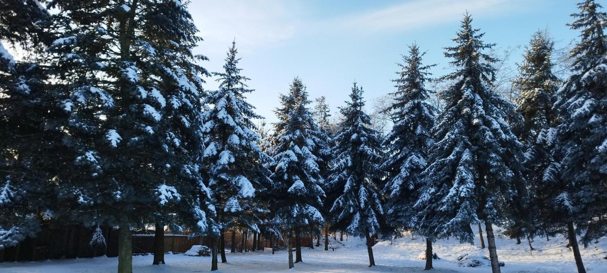 Pokoje Goscinne Impresja Kadzidlo Exterior foto